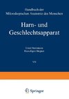 Harn- und Geschlechtsapparat