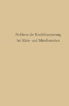 Probleme der Kreditfinanzierung bei Klein- und Mittelbetrieben