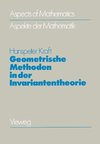 Geometrische Methoden in der Invariantentheorie