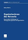 Organisationslernen über Netzwerke