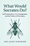 What Would Socrates Do?