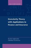 Gagliardini, P: Granularity Theory with Applications to Fina