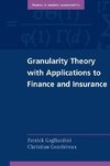 Granularity Theory with Applications to Finance and Insurance