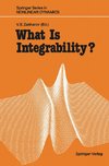 What Is Integrability?
