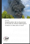 Modélisation de la dispersion de fluide en milieu hétérogène