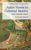 Asian Slaves in Colonial Mexico