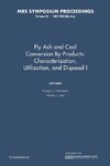 Fly Ash and Coal Conversion By-Products