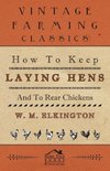 How to Keep Laying Hens and to Rear Chickens