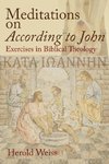 Meditations on According to John