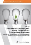 Die Elektrizitätswirtschaft unter dem Einfluss Erneuerbarer Energien