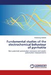 Fundamental studies of the electrochemical behaviour of pyrrhotite