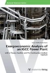 Exergoeconomic Analysis of an IGCC Power Plant