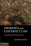 Promises and Contract Law