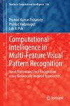 Computational Intelligence in Multi-Feature Visual Pattern Recognition