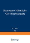 Harnorgane Männliche Geschlechtsorgane