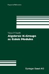 Algebraic K-Groups as Galois Modules