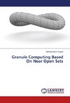 Granule Computing Based On Near Open Sets