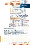 Galectin-3 in inflammation