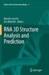 RNA 3D Structure Analysis and Prediction