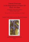 Natural Processes in the Degradation of Open-Air Rock-Art Sites