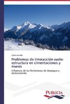 Problemas de interacción suelo-estructura en cimentaciones y muros