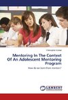 Mentoring In The Context Of An Adolescent Mentoring Program