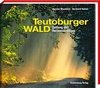 Teutoburger Wald