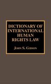 Dictionary of International Human Rights Law