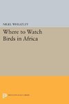 Where to Watch Birds in Africa