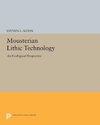 Mousterian Lithic Technology