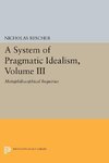 A System of Pragmatic Idealism, Volume III