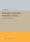 Helping Communal Breeding in Birds