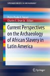 Current Perspectives on the Archaeology of African Slavery in Latin America