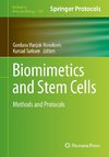 Biomimetics and Stem Cells