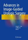 Advances in Image-Guided Urologic Surgery