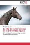 La IRM de varias lesiones de la extremidad equina