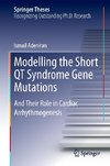 Modelling the Short QT Syndrome Gene Mutations