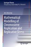 Mathematical Modelling of Chromosome Replication and Replicative Stress