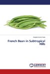 French Bean in Subtropical Hills