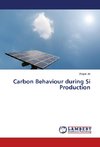 Carbon Behaviour during Si Production