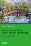 Acupuncture Point and Channel Energetics