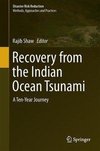 Recovery from the Indian Ocean Tsunami