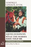 Equine Osteopathy