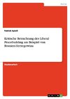 Kritische Betrachtung des Liberal Peacebuilding am Beispiel von Bosnien-Herzegowina