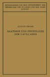 Anatomie und Physiologie der Capillaren