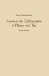 Synthese der Zellbausteine in Pflanze und Tier