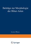 Beiträge zur Morphologie der Biber-Arten