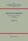 Numerische Integration