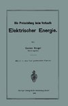 Die Preisstellung beim Verkaufe Elektrischer Energie