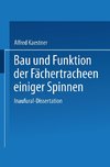 Bau und Funktion der Fächertracheen einiger Spinnen